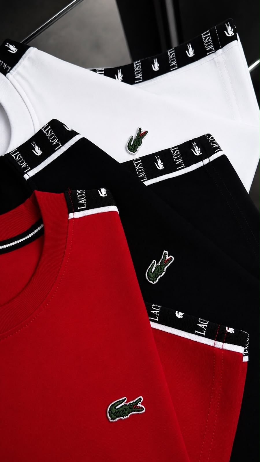 Camisetas 290 gr calidad algodón pesado